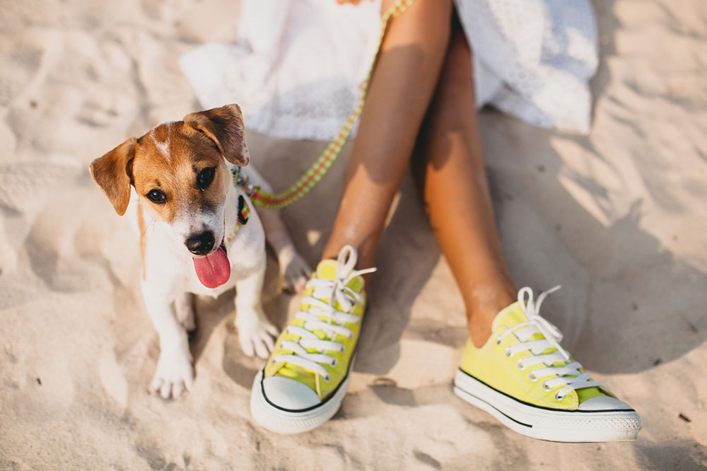 4 Popular Pet-Friendly Vacation Packages
