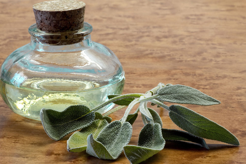 4 Uses and Benefits of Using Essential Oils on Pets