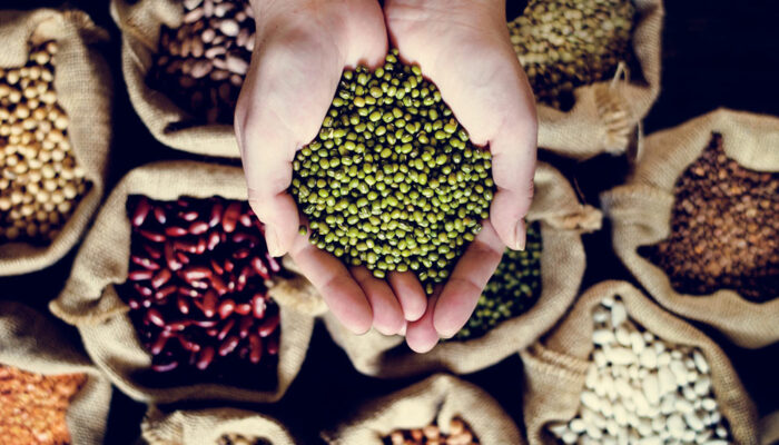 5 Foods to Maintain Healthy Cholesterol Levels