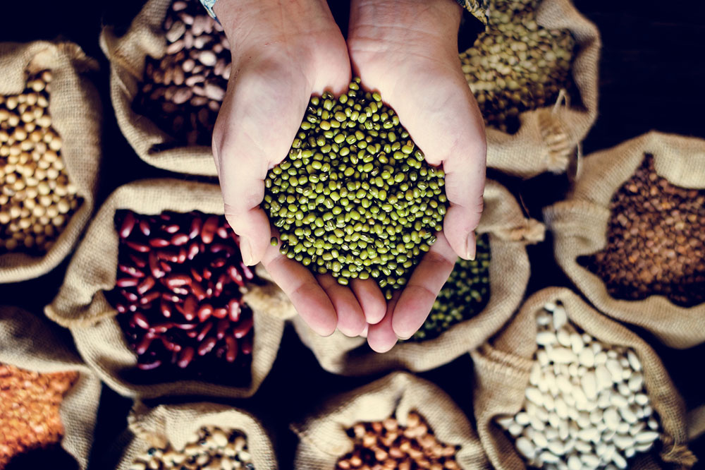 5 Foods to Maintain Healthy Cholesterol Levels