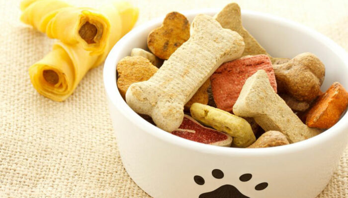 Easy, Healthy Homemade Dog Food Recipes