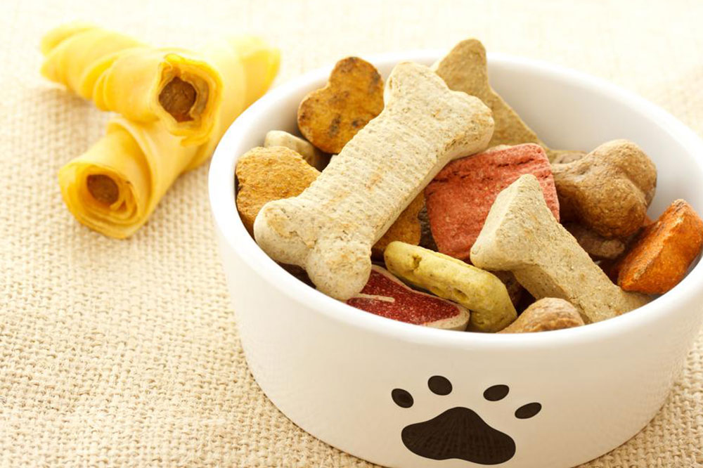 Easy, Healthy Homemade Dog Food Recipes