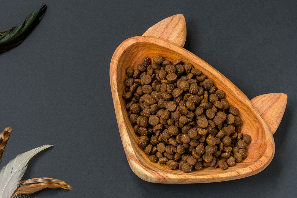 The 6 Most Popular Cat Treats of 2020